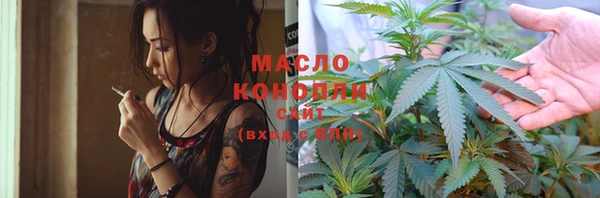 прущий лед Инсар