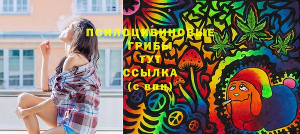 прущий лед Инсар