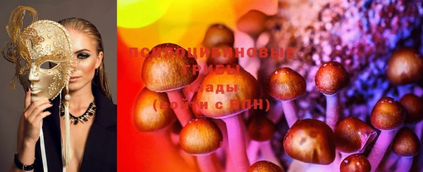 прущий лед Инсар