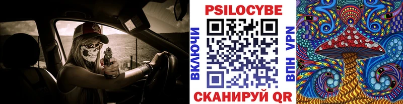Купить закладки  Железноводск  Галлюциногенные грибы Magic Shrooms 